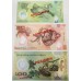 PAPUA NEW GUINEA 2005 - 2007 . TWO 2 - ONE  HUNDRED 100  KINA BANKNOTES . SPECIMEN